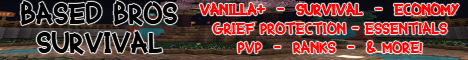 Based Bros Survival banner