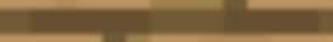 WoodLand SMP banner