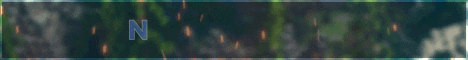Nexus Network banner