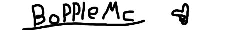 BoppleMC banner