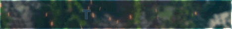 TwinsMC banner