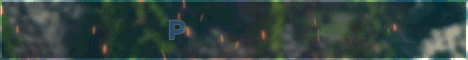 PureCraft banner