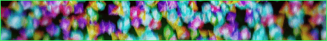 Elama SMP banner