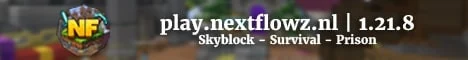 NextFlowz Skyblock banner