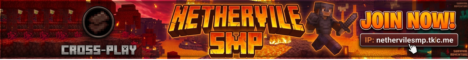 Nethervile SMP banner