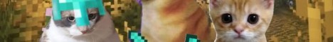 Constain MC banner