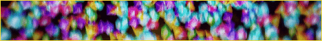 Vix Network banner