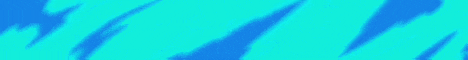 ThunderMc banner