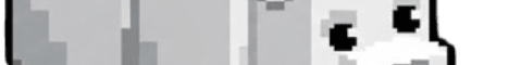 Polar SMP banner
