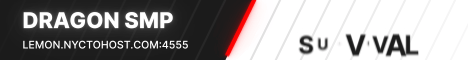 Dragon smp banner