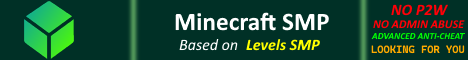 Levels Minecraft SMP banner