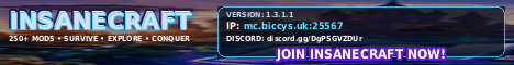 RX-Gaming Insanecraft banner