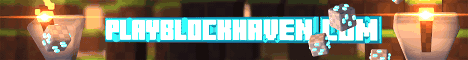 BlockHaven banner
