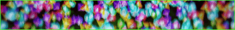 Evergrove SMP banner