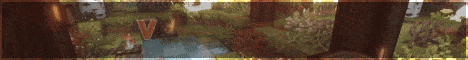 VanguardMC banner