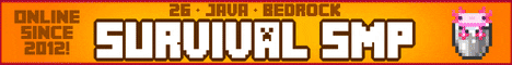 InsanityCraft banner