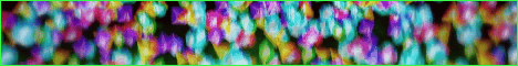 Viciante banner
