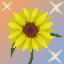 Sunflower SMP logo