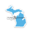 Michigan Minecraft Server logo