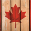 New New Canada logo