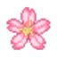 Pink Petals MC logo