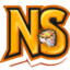 NetherStorm logo