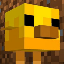 protoxon SMP logo