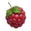 MCRaspi.com logo