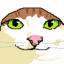 CK Community Server logo
