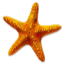 MC Beach Club logo
