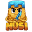 NUSI logo