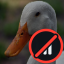 Ducks Anarchy logo