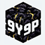 9Y9P logo