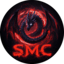 Stellar-MC logo