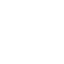 PhoenixSMP logo