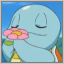 SquirtleSquad logo