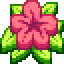 HibiscusMC logo