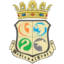 MedievalCraft logo