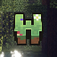 Wildwood SMP logo